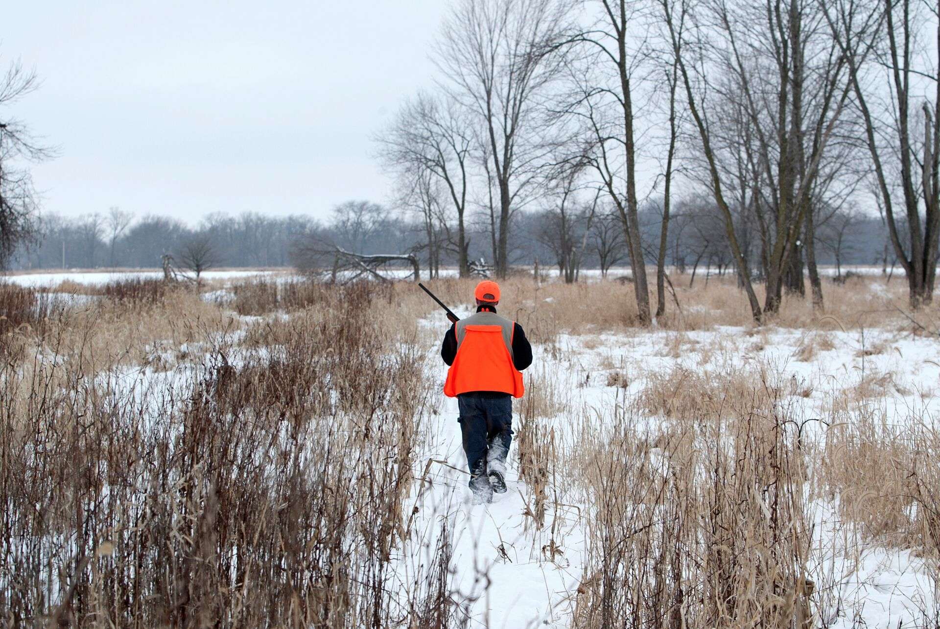 Why Is Hunter Education Important? | ilearntohunt
