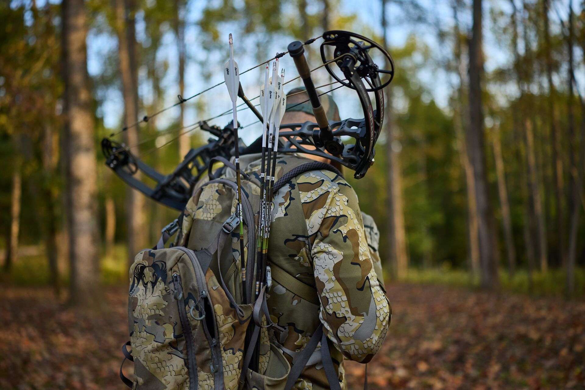 How to Start Bowhunting for Beginners | ilearntohunt
