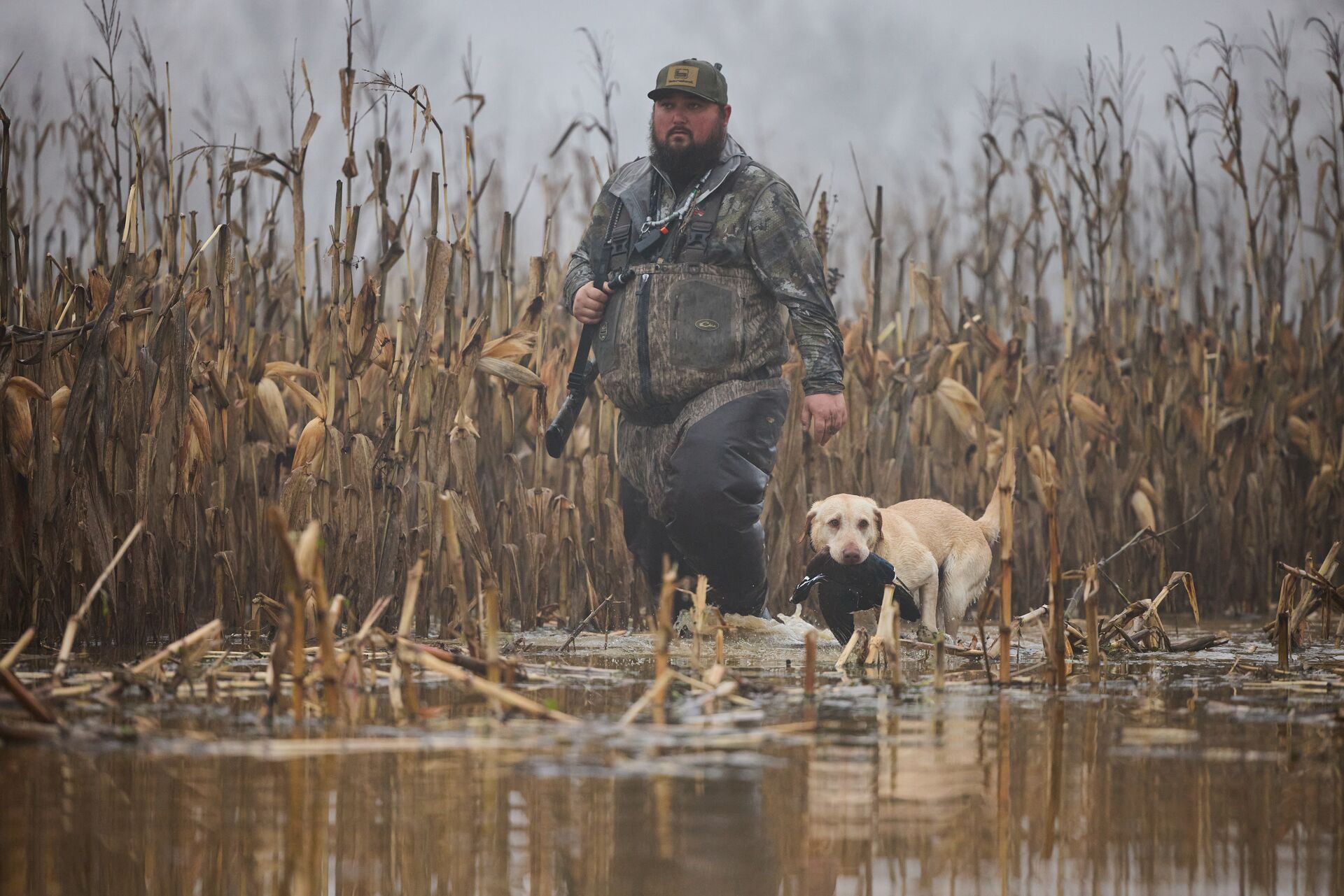 Hunter with dog carrying duck in water, know what group sets hunting regulations in most states concept. 