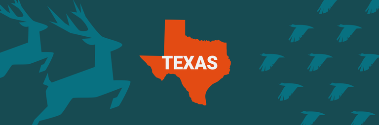 Image of the State of Texas on blue background, take the Texas hunters safety course concept. 