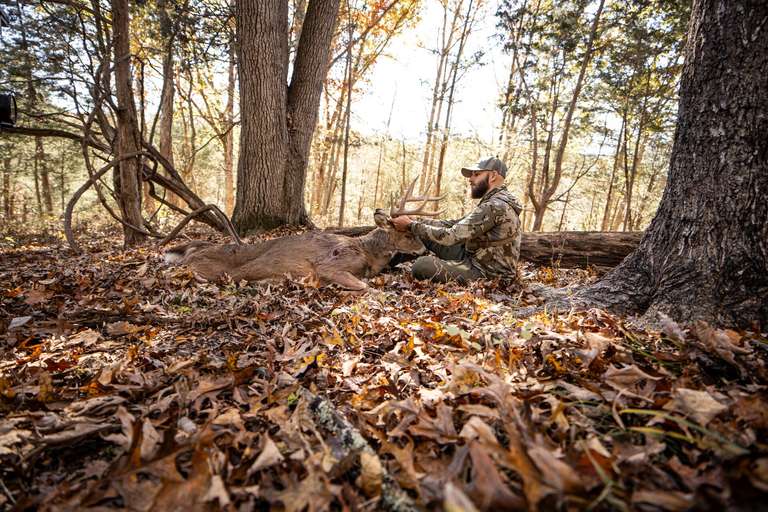 Hunter with buck down in the woods, know California hunting laws concept. 