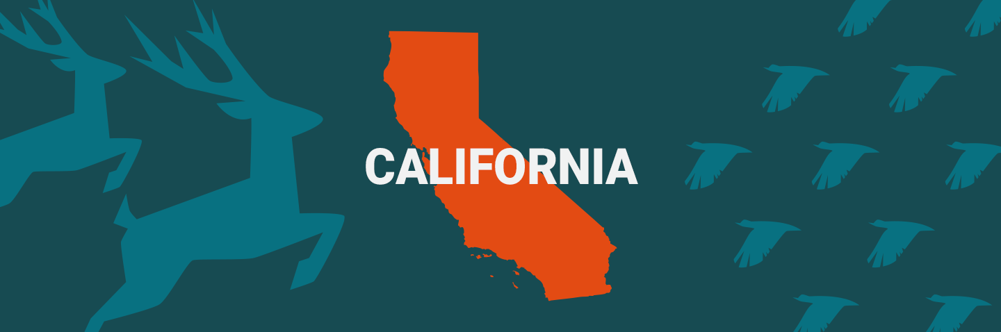 Image of the State of California on blue background, take the ilearntohunt California hunters safety course concept. 