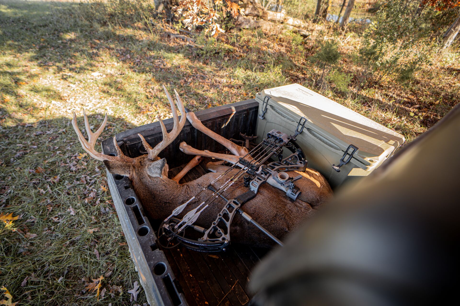 Buck deer in back of ATV with bow.