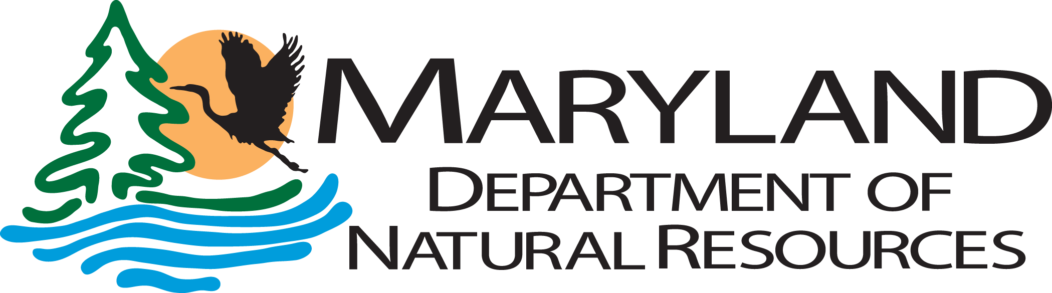 Maryland Department of Natural Resources logo, hunter safety in Maryland concept. 