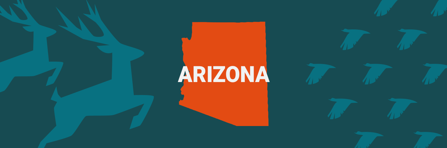 Image of Arizona on blue background, get the hunting license AZ requires concept. 