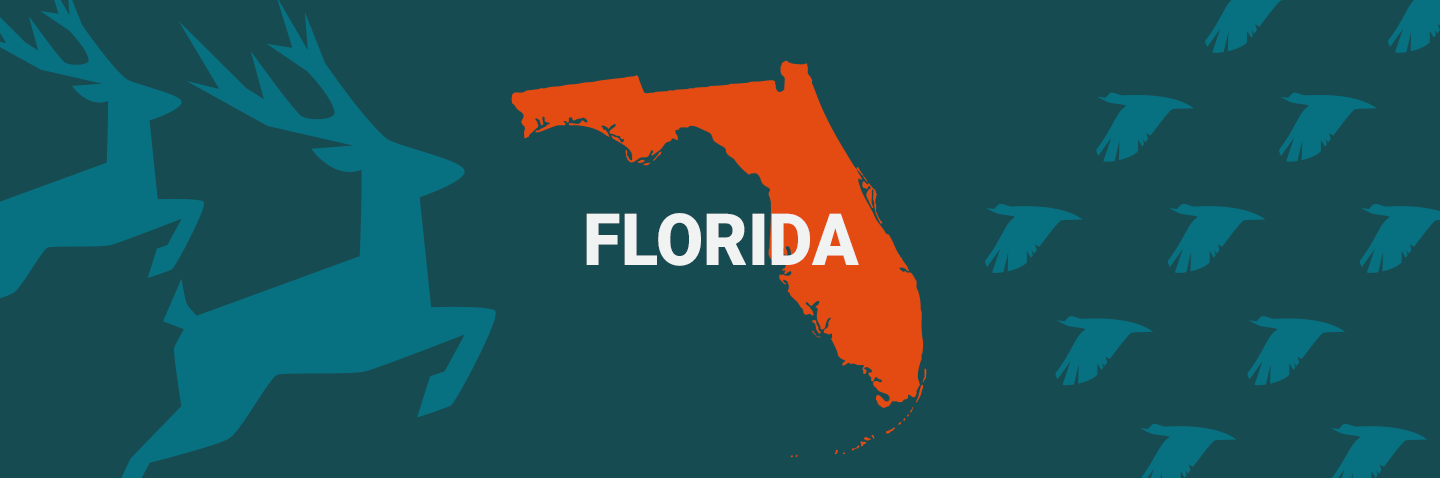 Image of Florida on blue background, take the Florida hunter safety course concept. 