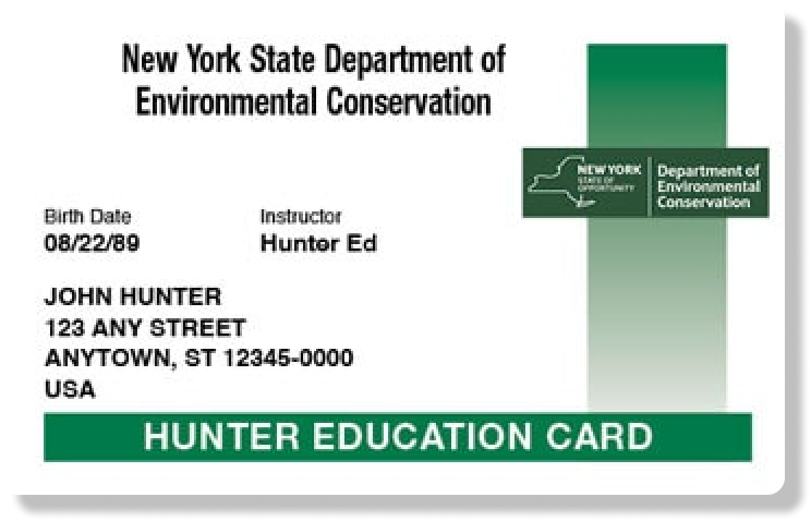 Illustration of the New York hunter education card.