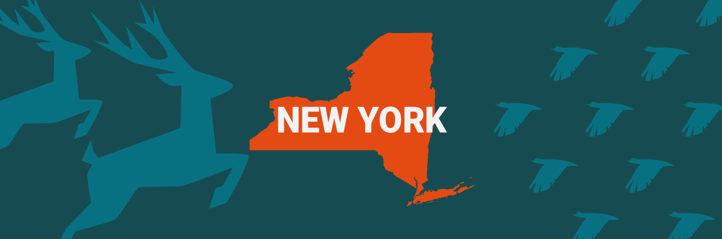 Image of New York on blue background, take the New York hunter safety course concept.