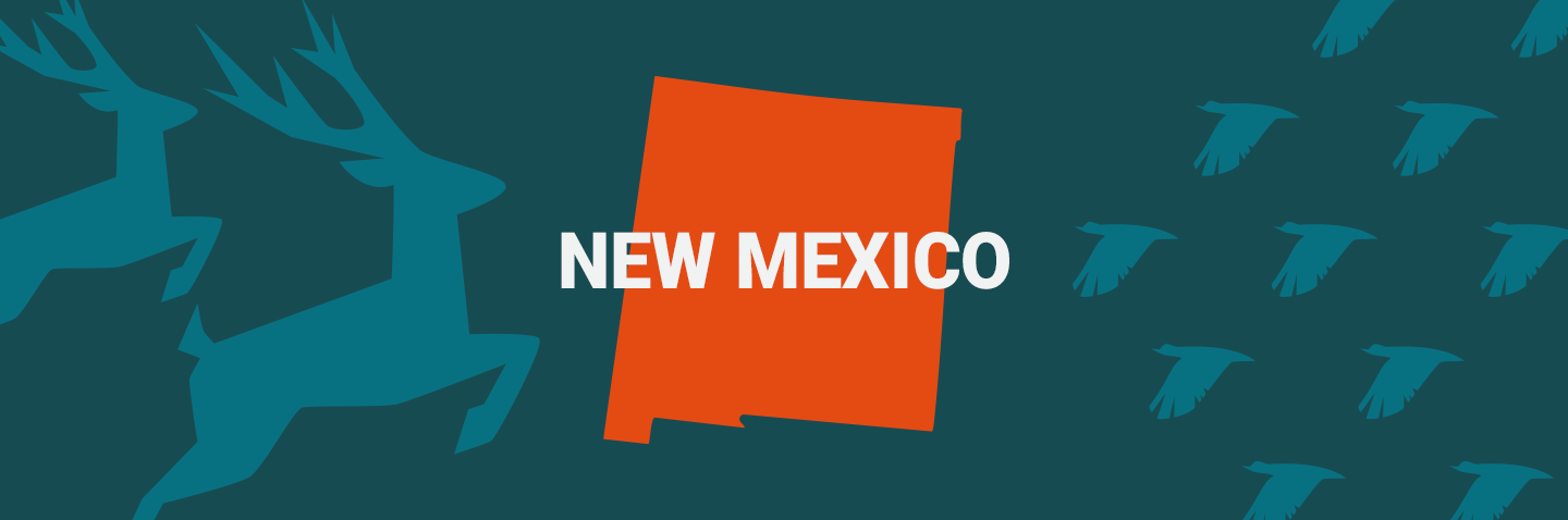 Image of New Mexico on blue background, take the New York hunter safety course concept. 