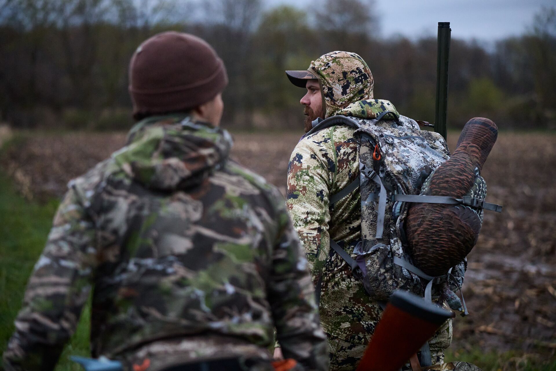 Two hunters in camo walking with turkey decoy, apprentice hunting license in Michigan concept. 