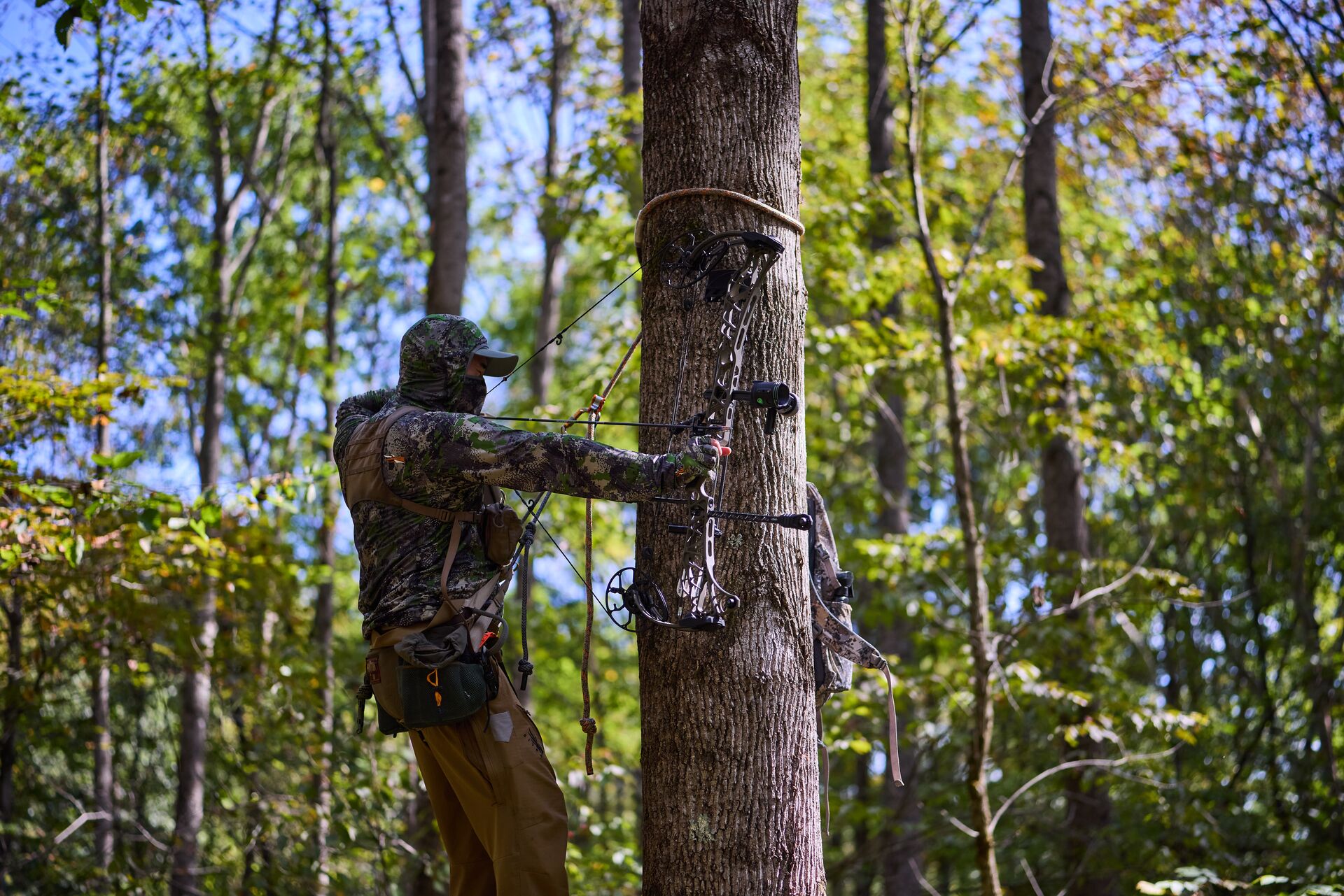 Hunter draws bow while in tree saddle, what documents do I need for a Texas hunting license concept.