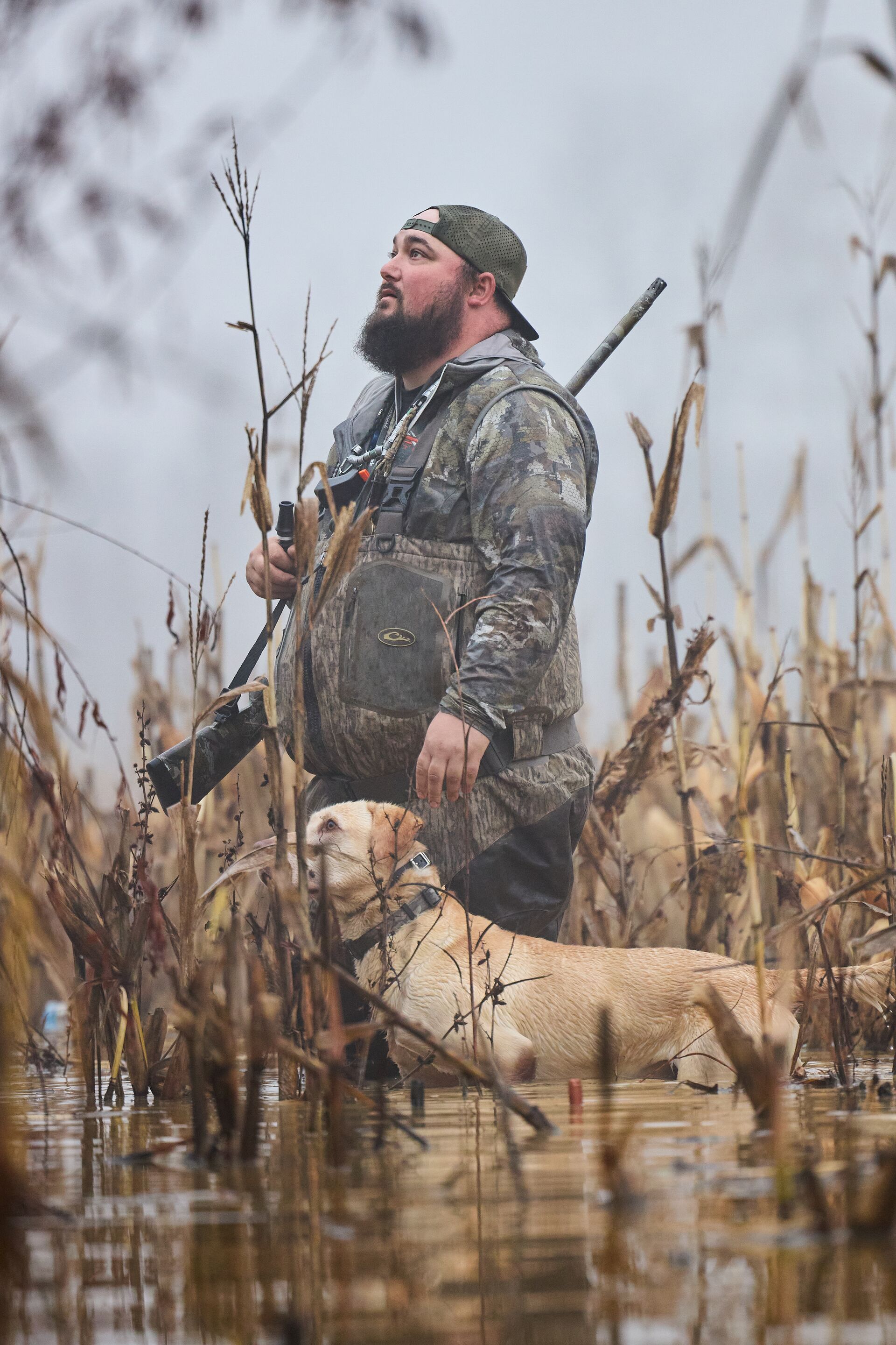 Hunter and dog in the water for waterfowl hunt, TX Real ID for Texas hunting license documents concept. 