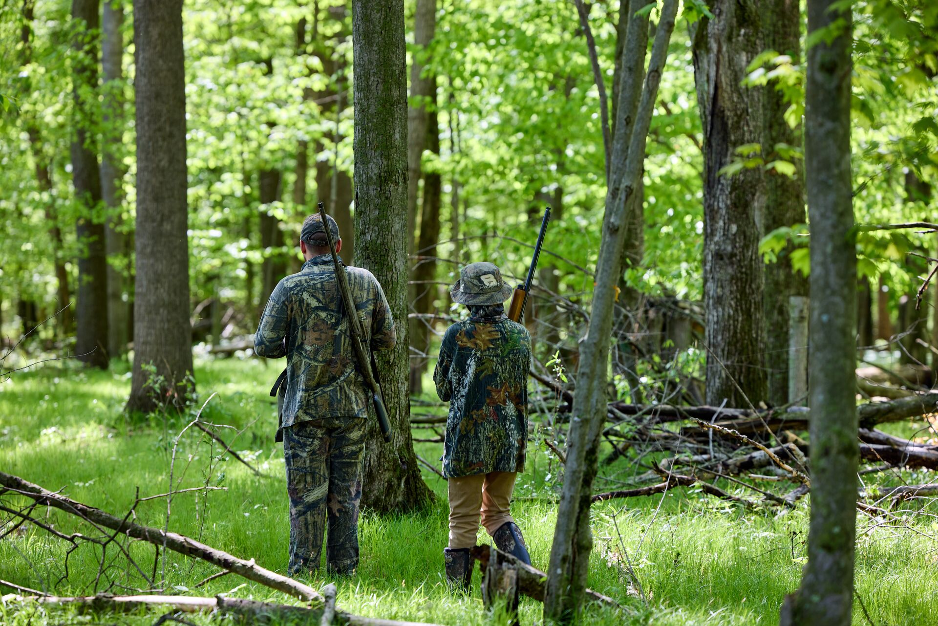 Adult and boy hunters walk into woods. 