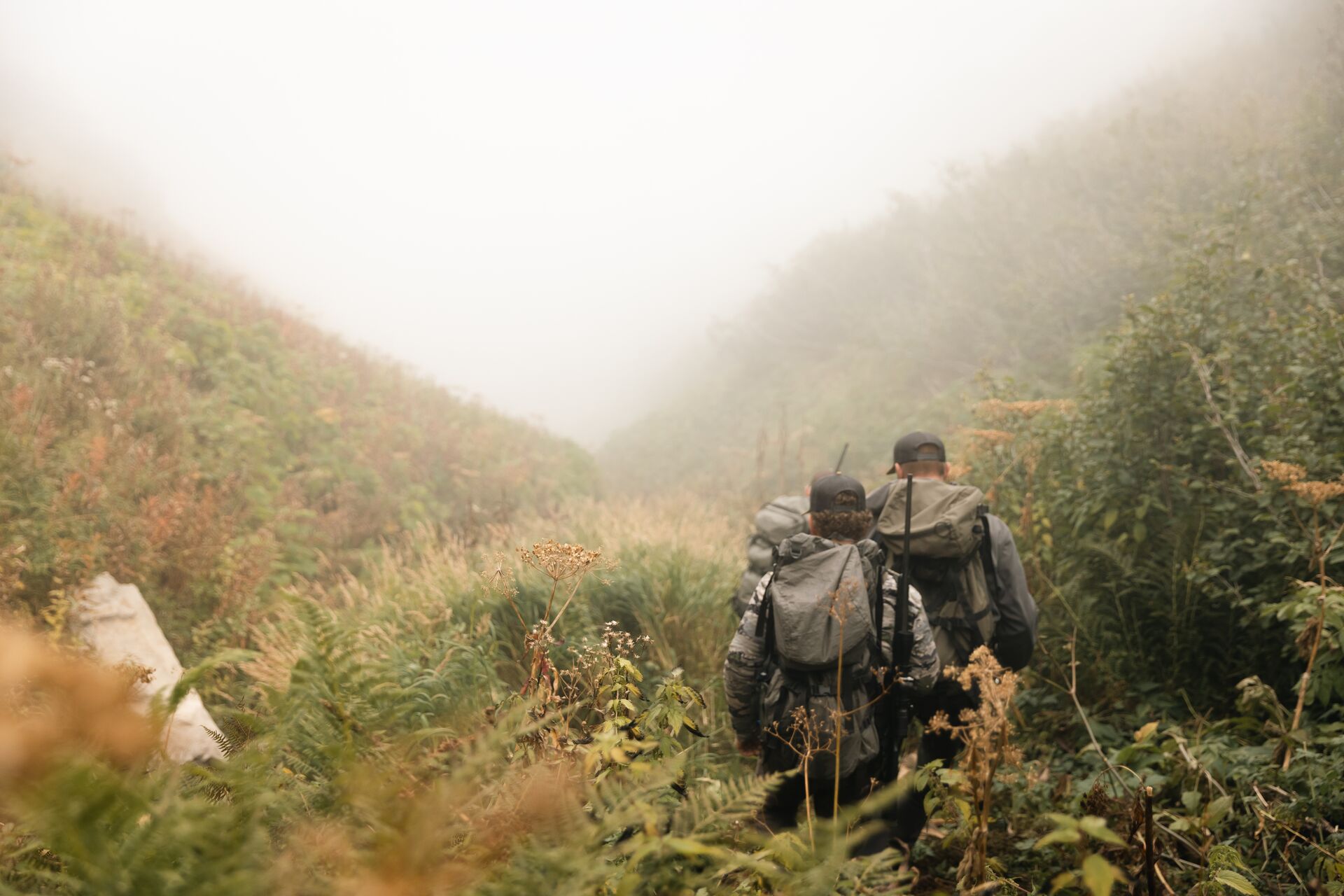 Two hunters trek through tall brush, how to get your Maryland apprentice hunting license concept. 