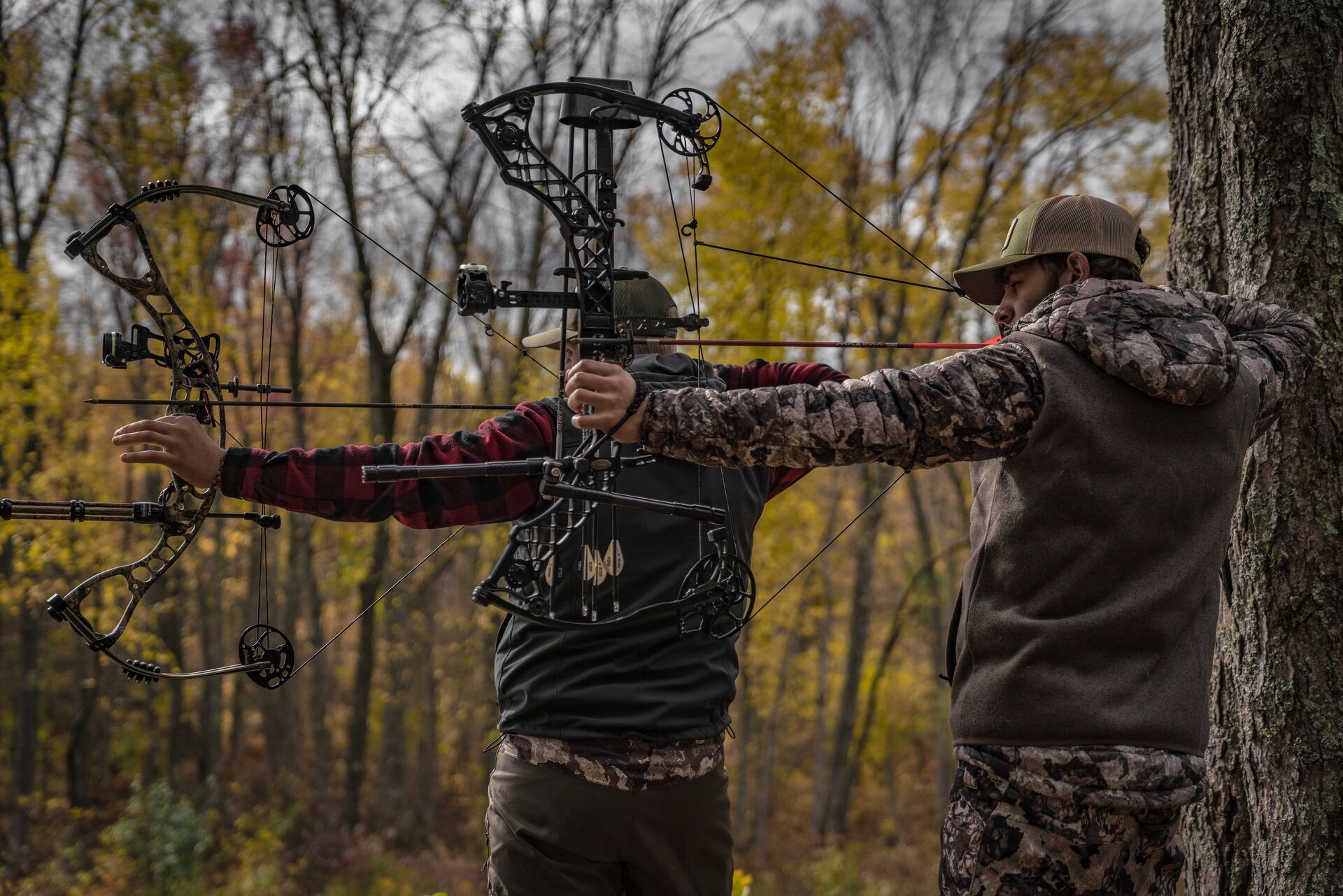 Two hunters draw bows in the woods, how to get your Virginia apprentic hunting license concept. 