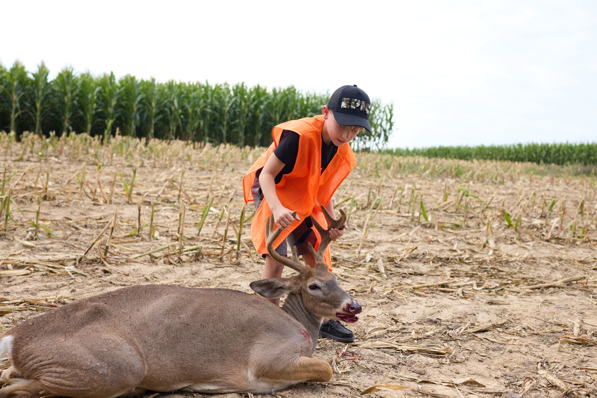 Boy in blaze orange vest leans over buck deer after hunt, Louisiana youth hunting license concept. 