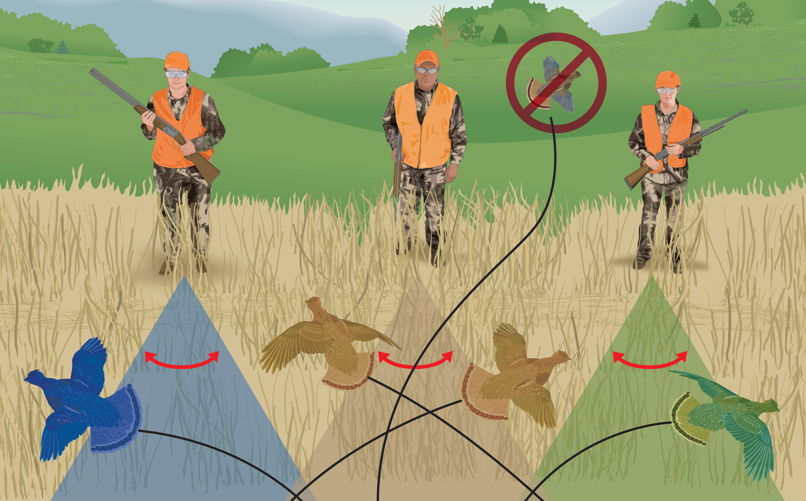 Illustration of the safe zone of fire, hunter education online concept.