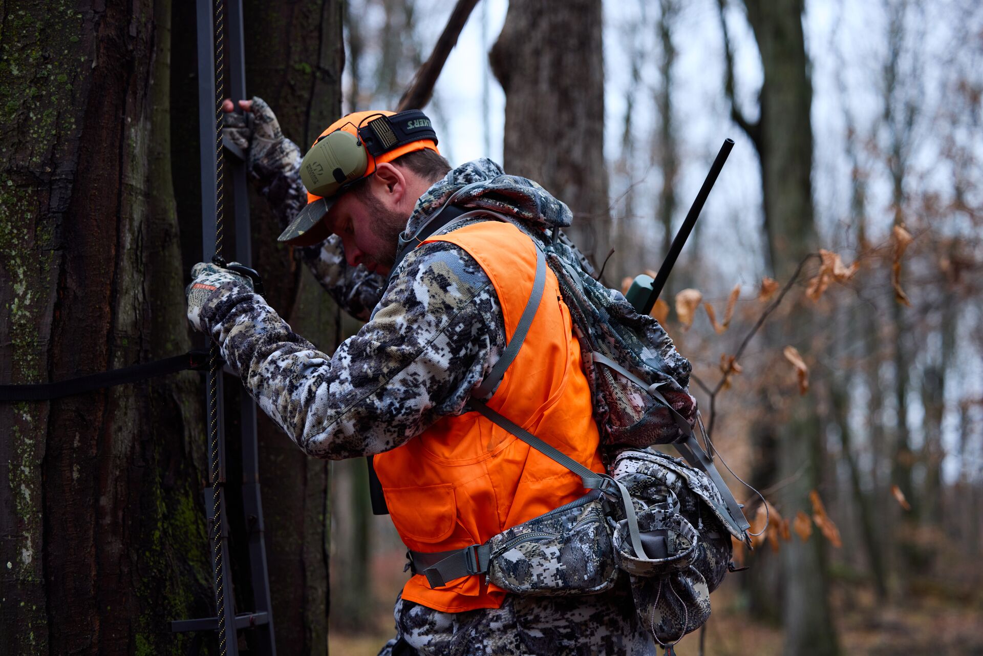 Hunter in orange vest climbs tree, hunter safety certificate for fall season concept.