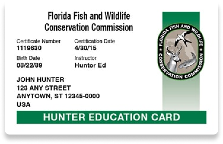 Illustration of the Florida hunter education card, how long is Florida hunter course concept.