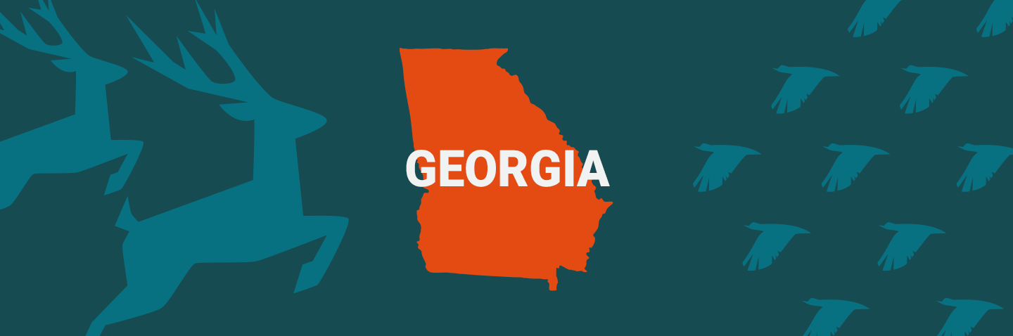 Illustration of the state of Georgia, how long is the Georgia hunter safety course concept.