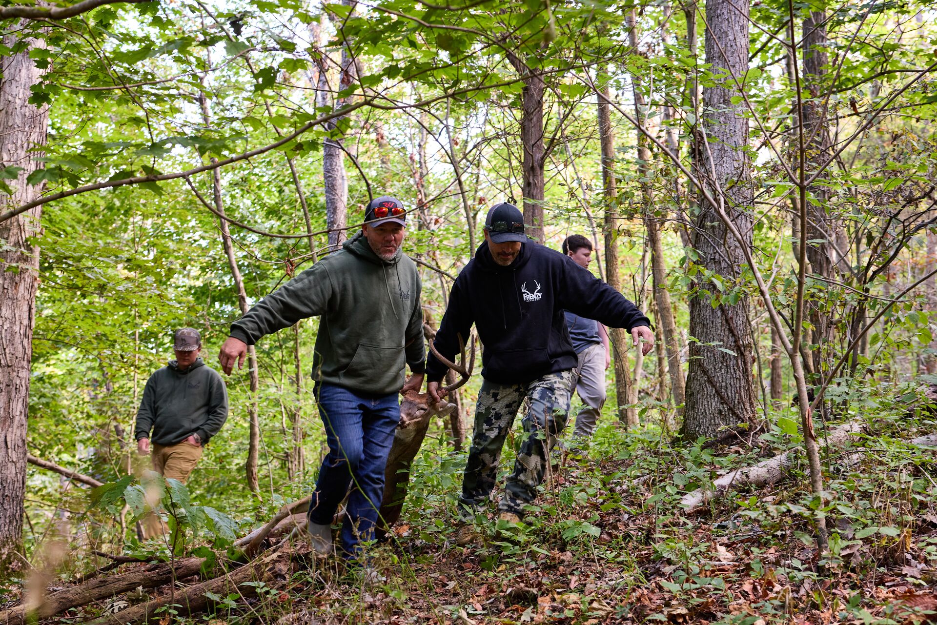 Hunters moving a deer in the woods, get a hunter safety certificate concept. 