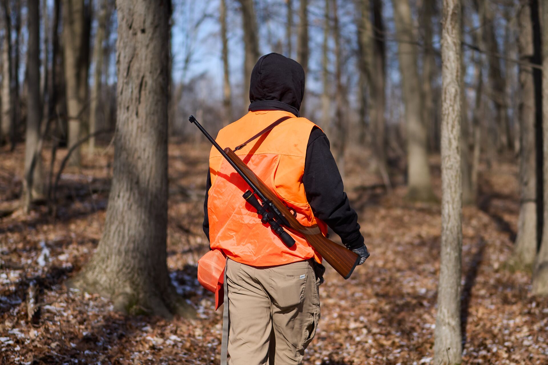 Back view of hunter in blaze orange vest with rifle, online hunter safety course accepted concept. 