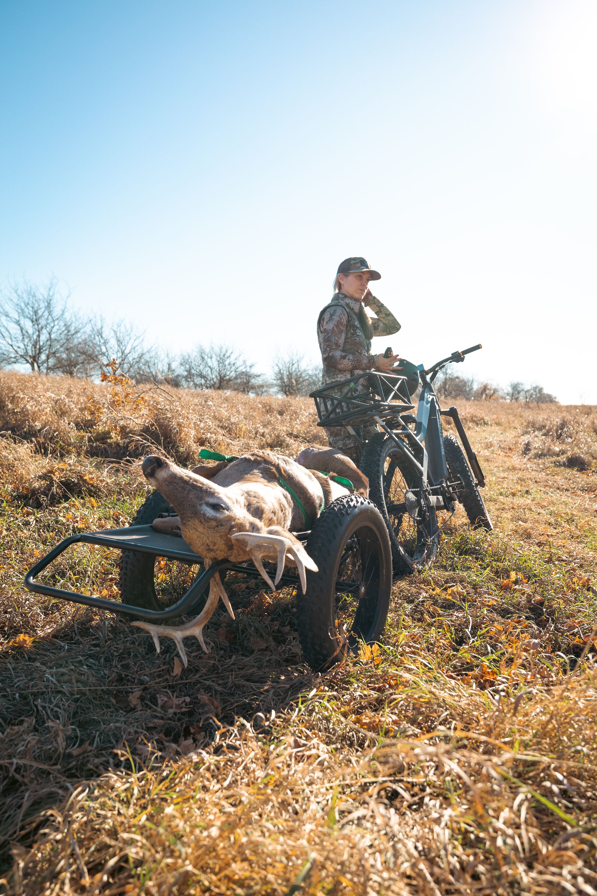 Female hunter transports deer, take an online hunter education course concept.