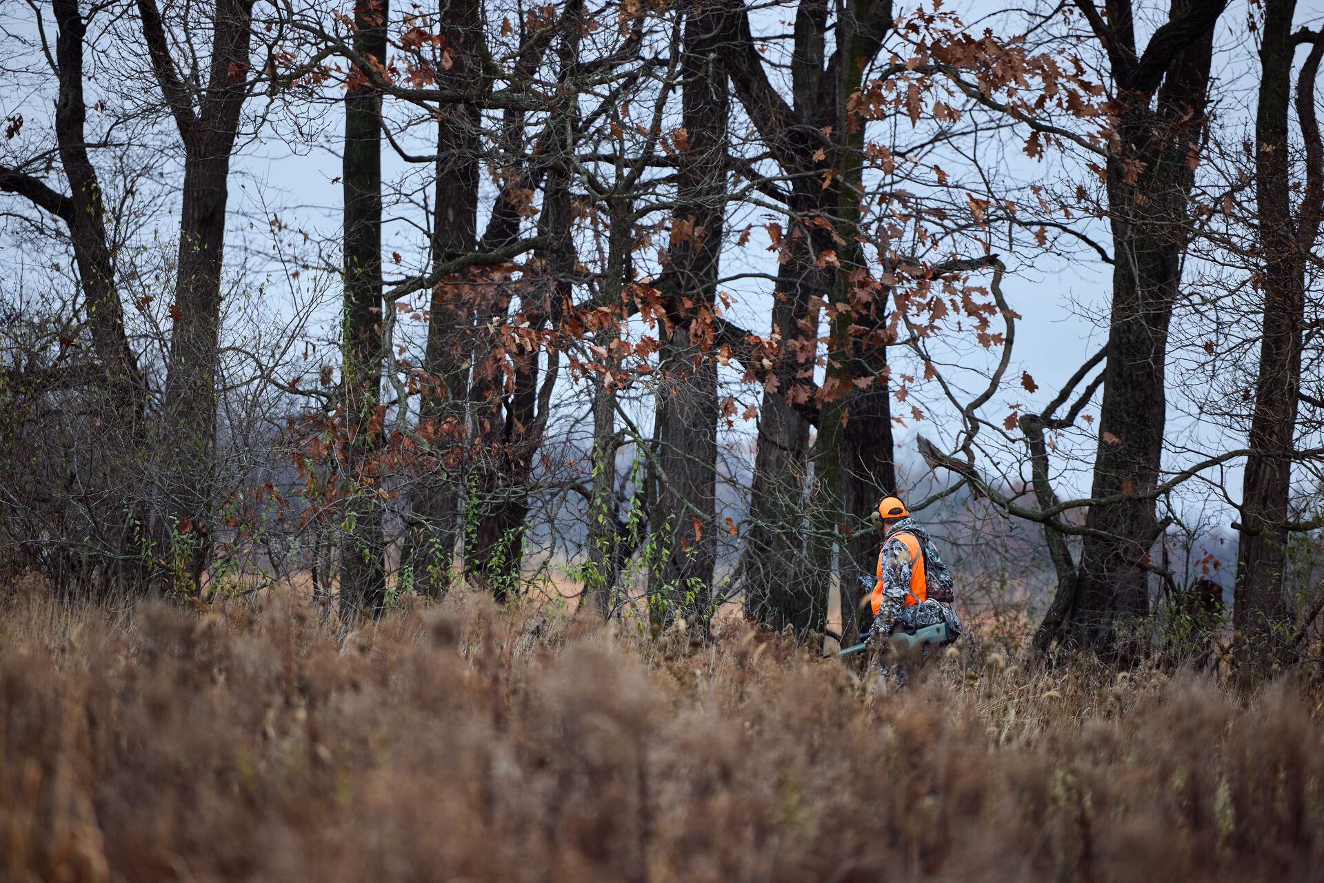 Hunter in the distance wears blaze orange, take online hunter safety course concept.
