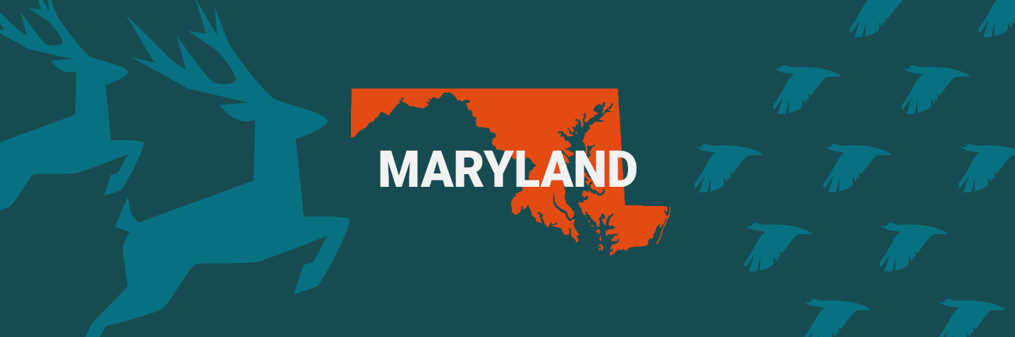 Illustration of the state of Maryland, where to take the Maryland hunter safety course concept. 