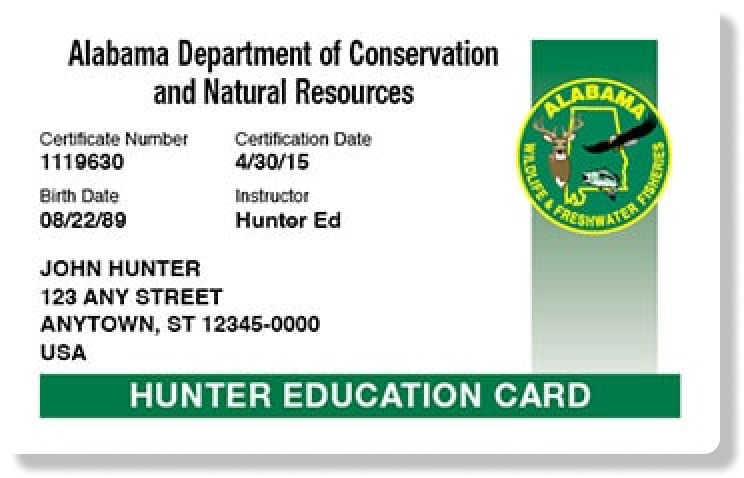 Illustration of the Alabama hunter education card, how long does the Alabama hunter safety course take concept.