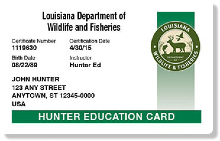 Illustration of the Louisiana hunter education card, how long does the LA hunter safety course take concept.