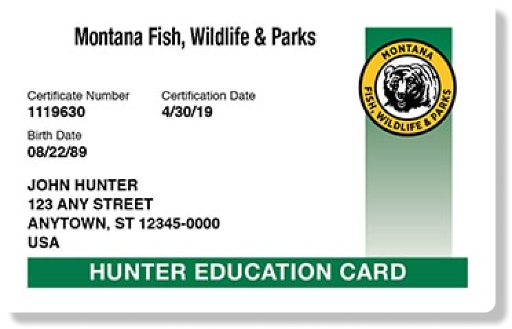 Montana hunter education card illustration, take a hunter safety course concept.