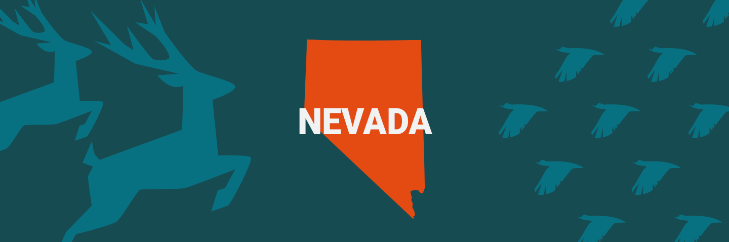 Illustration of the state of Nevada, how long is the Nevada hunter safety course concept. 