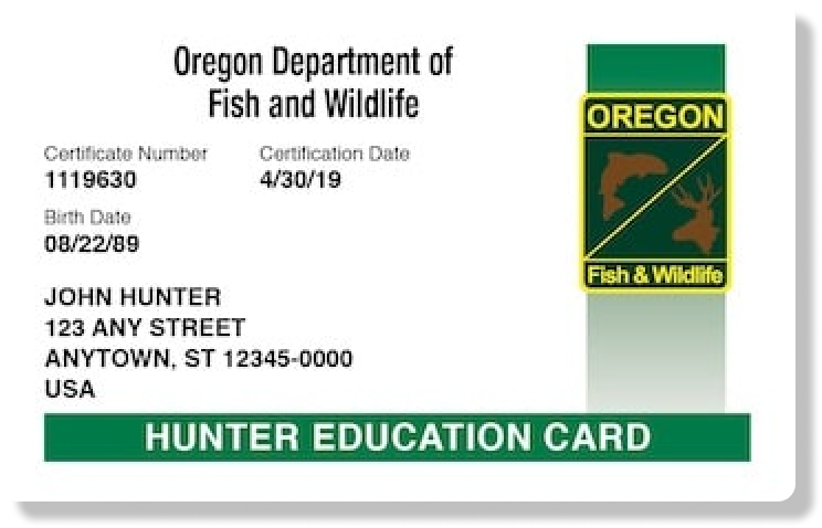 Oregon hunter education card illustration, get hunter safety certified concept.