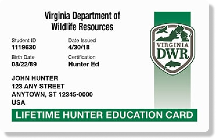Virginia hunter education card illustration, get hunter safety certified online concept.