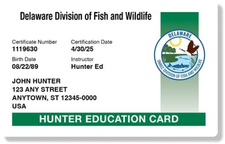 Illustration of the Delaware hunter education card, get hunter safety certified online concept. 