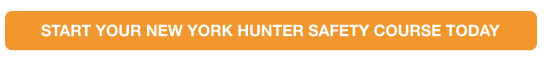 Button to start the NY hunter safety course, how long is the New York hunter education course concept.
