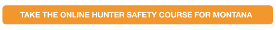 Yellow button to take the online MT hunter safety course, where can you take the Montana hunter course concept. 