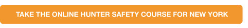 Button to New York hunter safety course online, where can you take the NY hunter course concept.