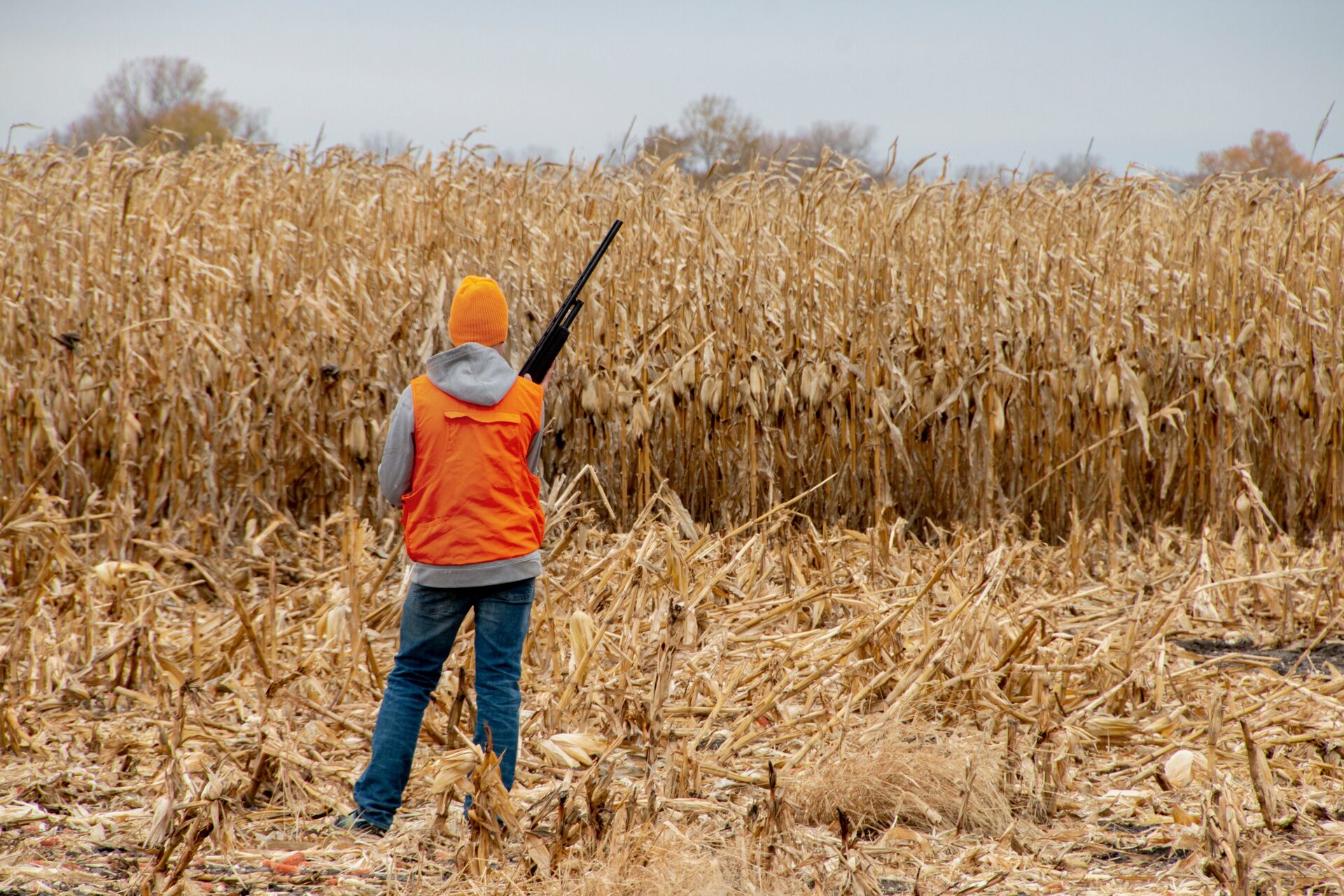 Woman in orange vest with shotgun at edge of field, PA hunter safety concept.