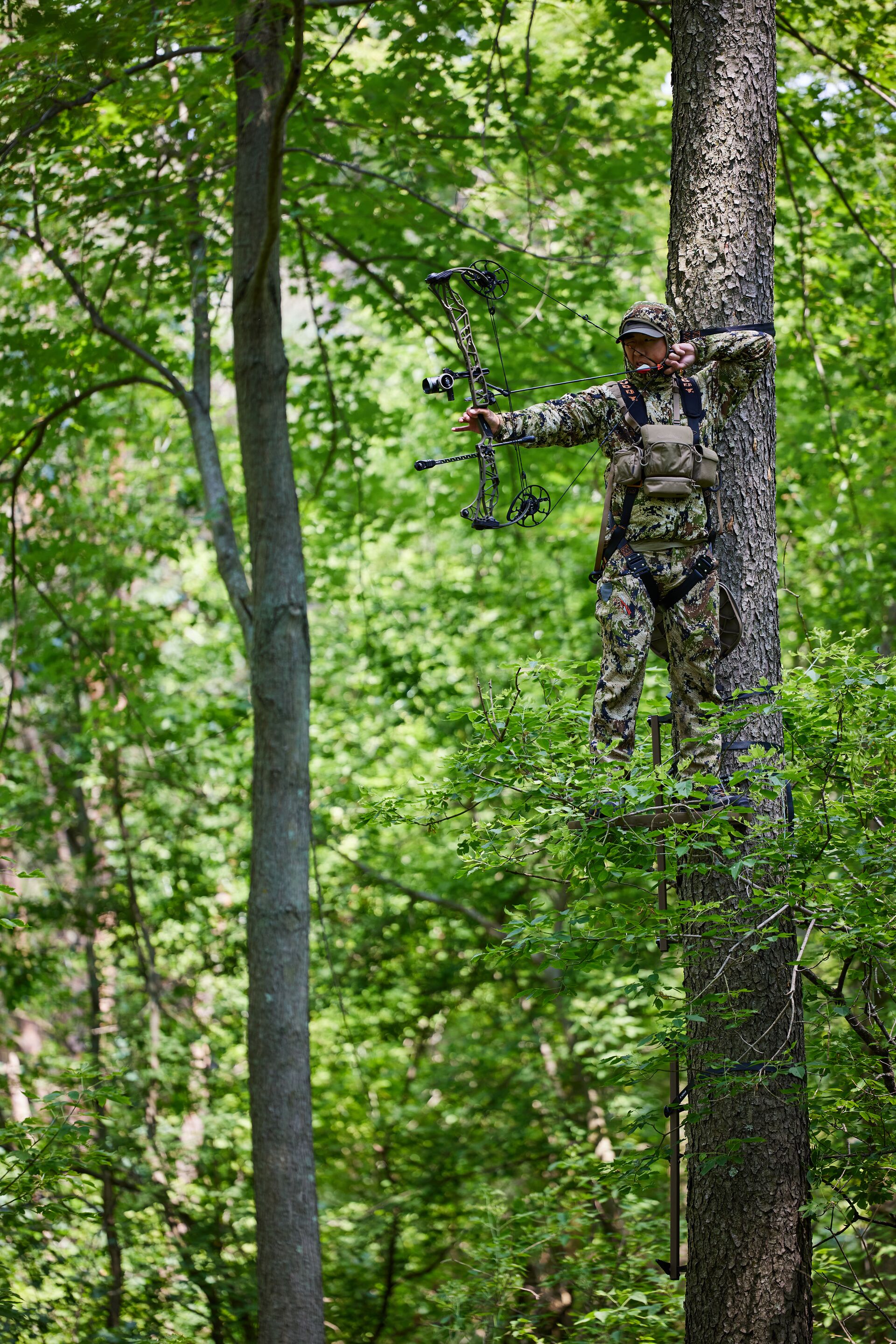 Hunter high in tree stand draws bow, tree stand safety tips concept.