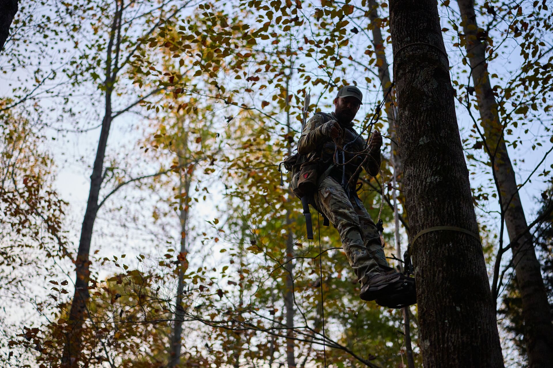 Looking up at a hunter in a tree saddle, tree stand safety concept.
