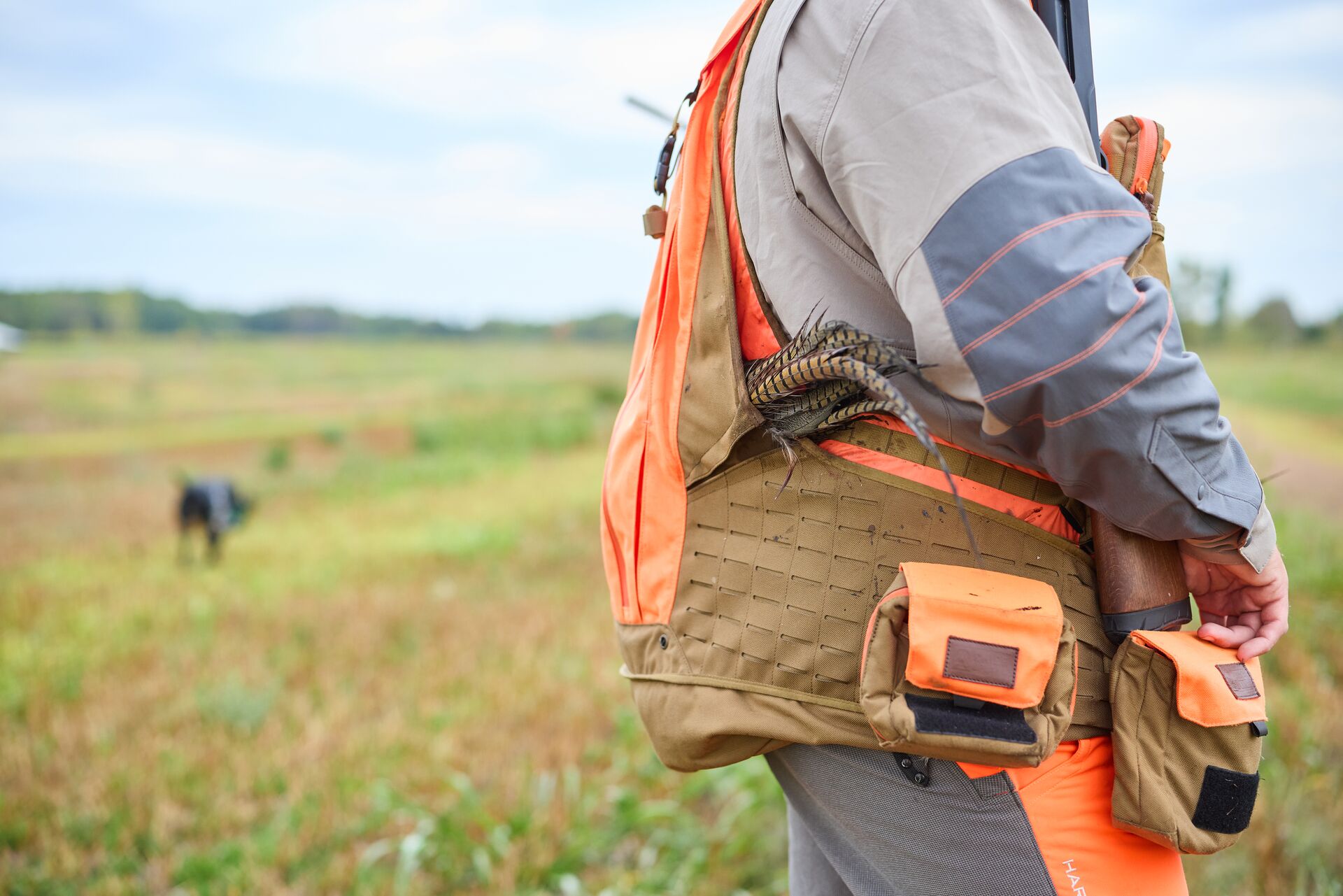 Close-up of hunter in orange hunting gear, fastest way to get hunter certified concept.