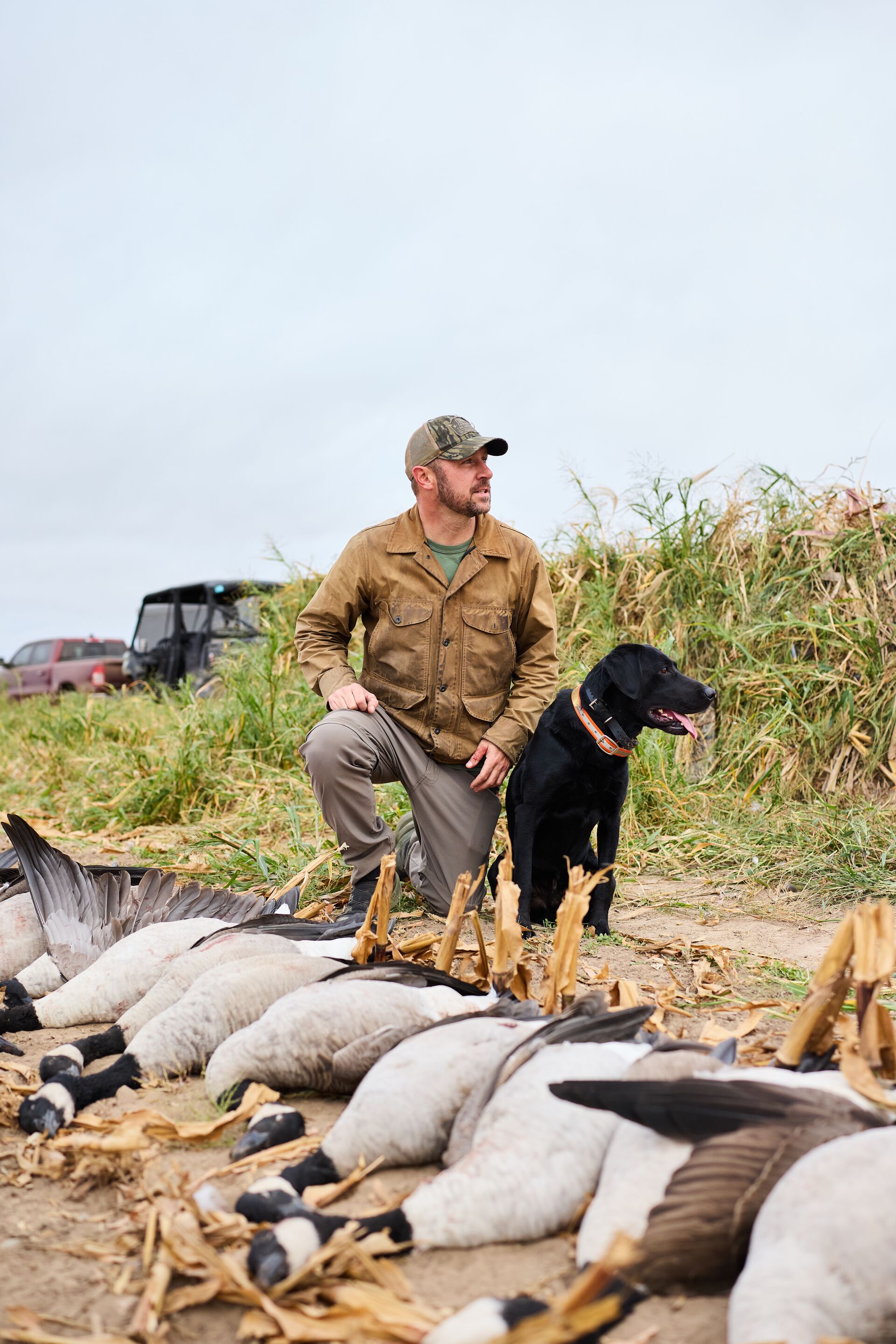 Hunter and dog with line of geese after hunter, get hunter safety certified same day concept.