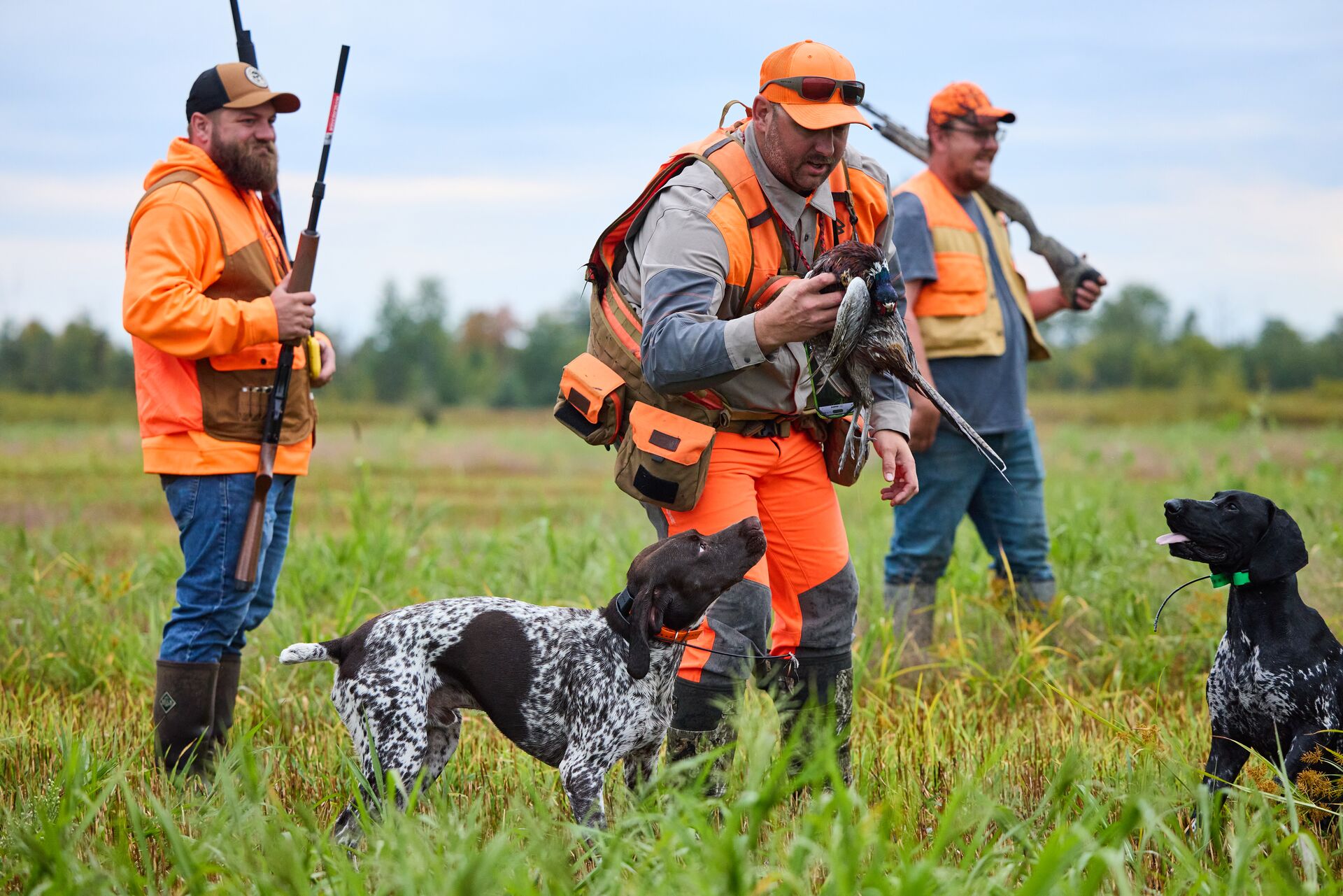 Hunters in orange take pheasant from dog during hunt, what is hunter safety concept.