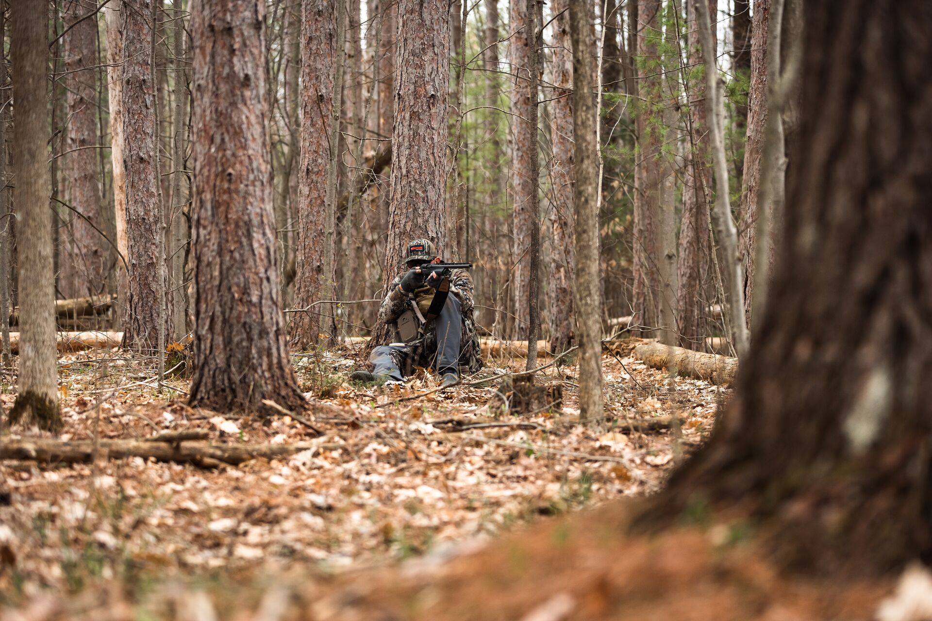 Hunter against a tree in the woods aims a shotgun, types of shotgun sights concept.