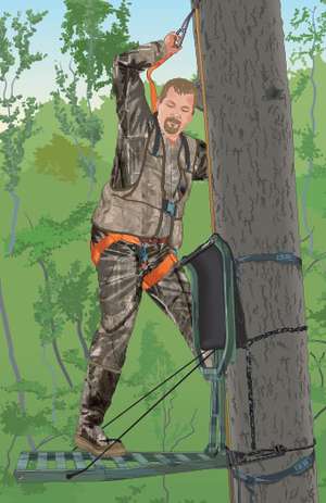 How to Stay Safe in Tree Stands | ilearntohunt