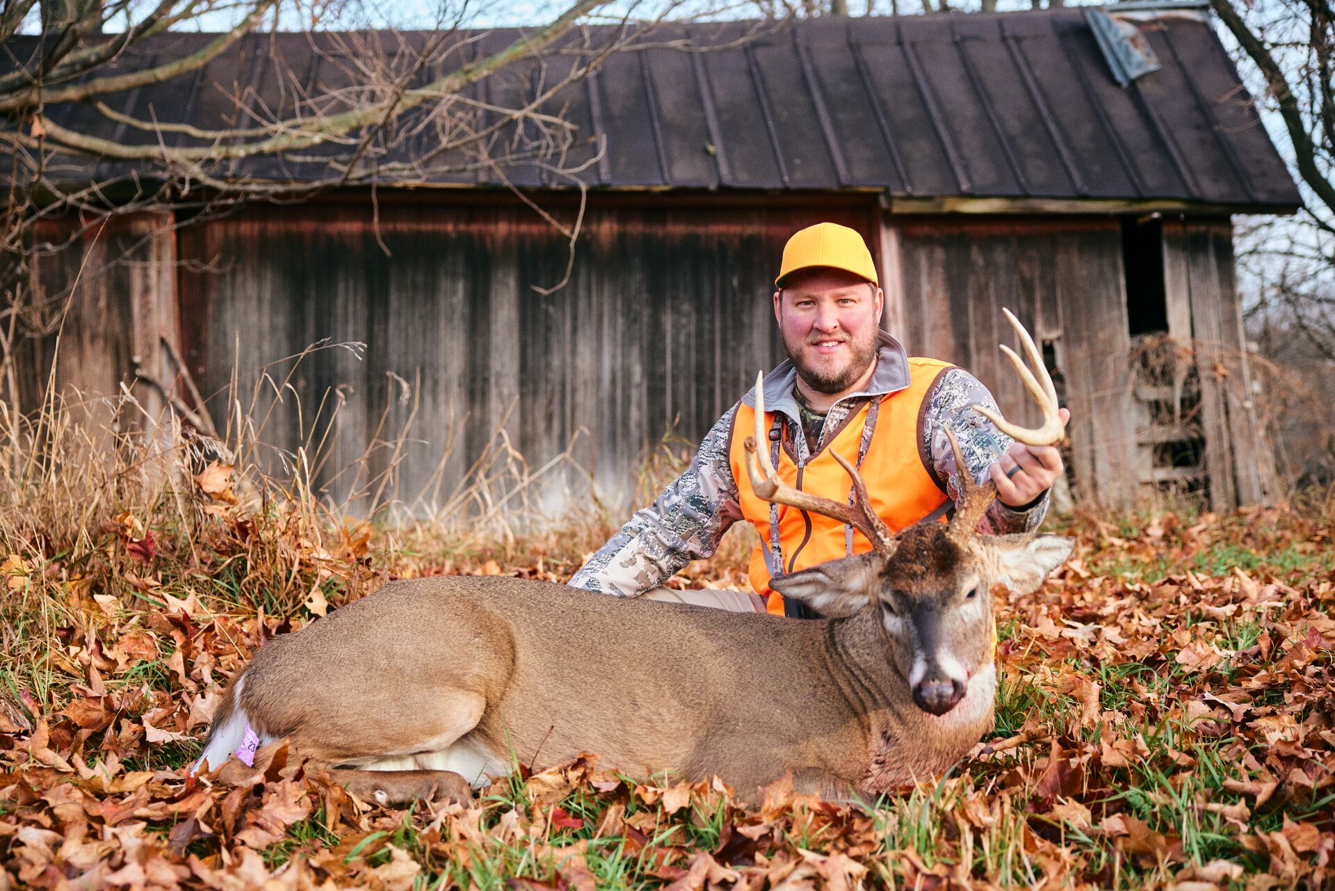 Hunter wears orange for hunting and poses with deer after hunt.
