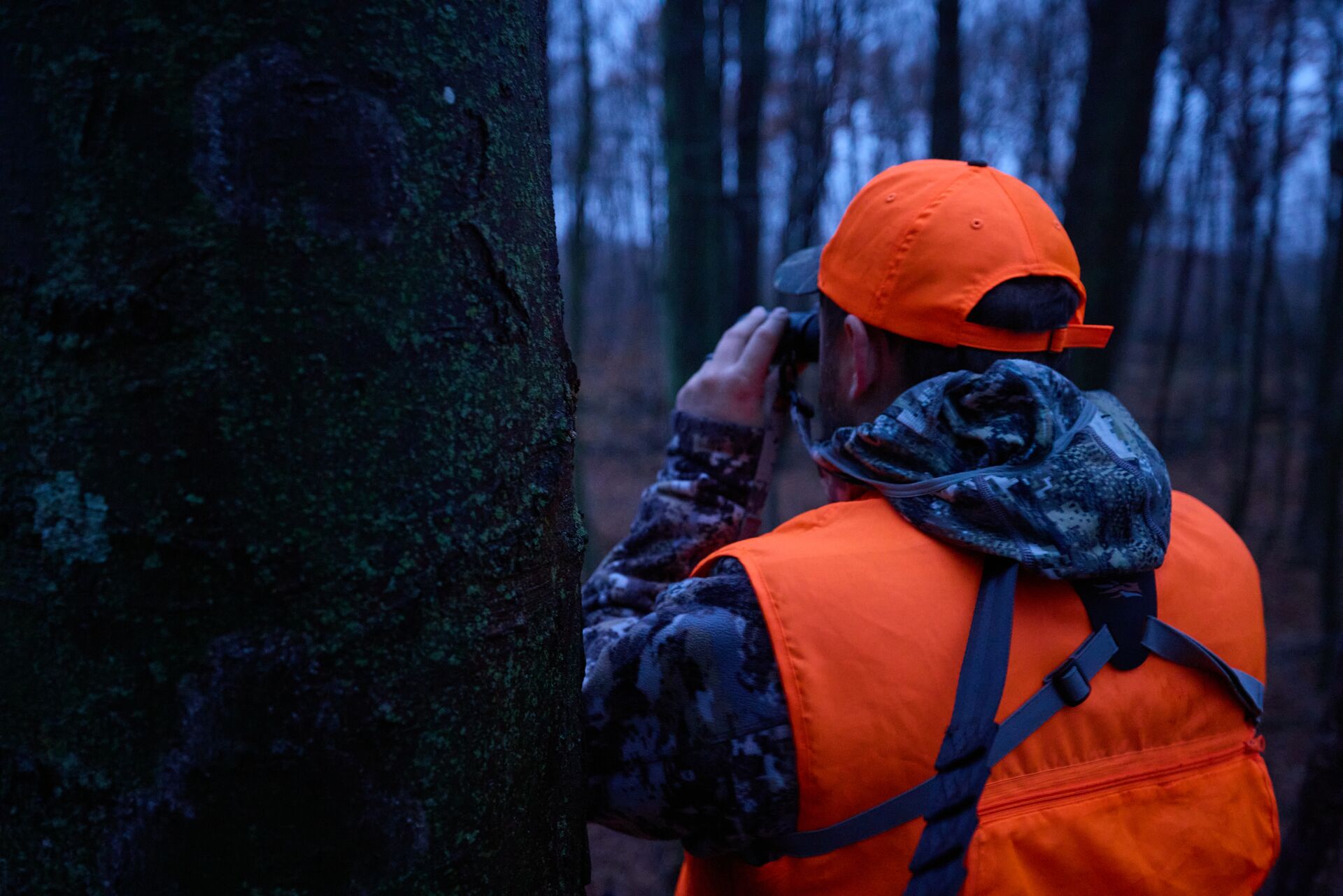 A hunter in early morning wears blaze orange while using binoculars.