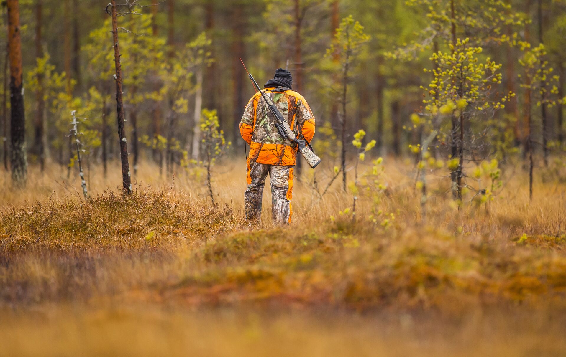 Hunter in camo and blaze orange in the woods.
